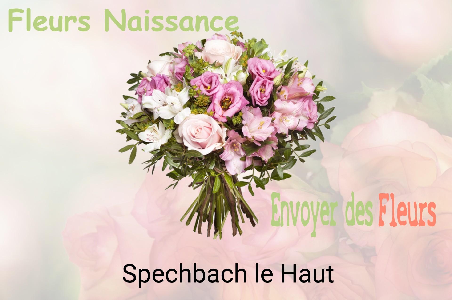 Bouquet de fleurs de naissance livré à Spechbach-le-Haut
